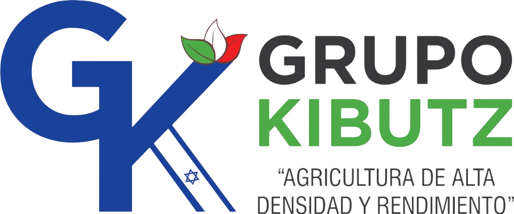 Grupo Kibutz